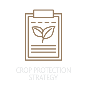 Crop Protection Strategy