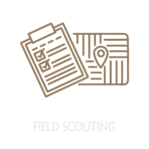 Field Scouting